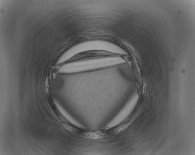 X0000083990121200703161633