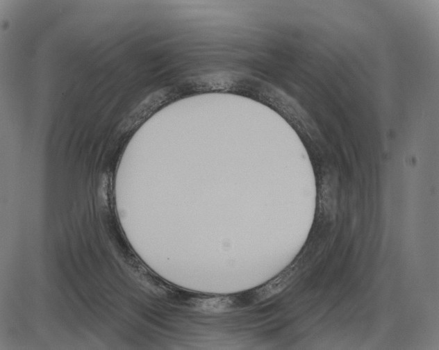 X0000083990122200703161633