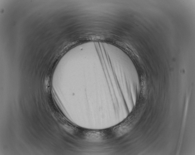 X0000083990123200703161633