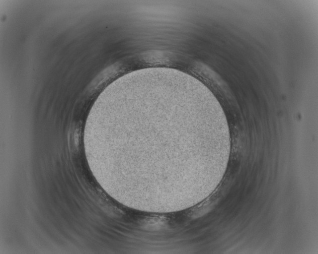 X0000083990124200703161632