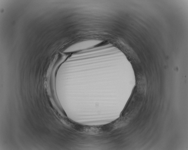 X0000083990125200703161632