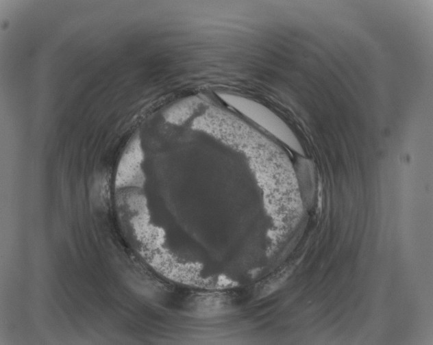 X0000083990127200703161632