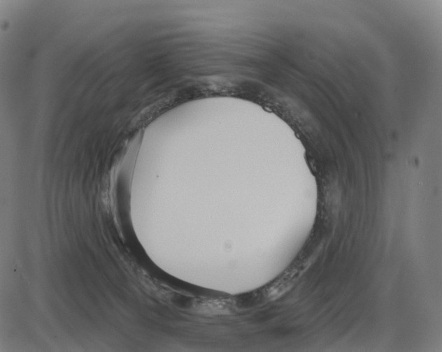 X0000083990129200703161632