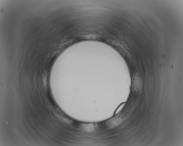 X0000083990131200703161632