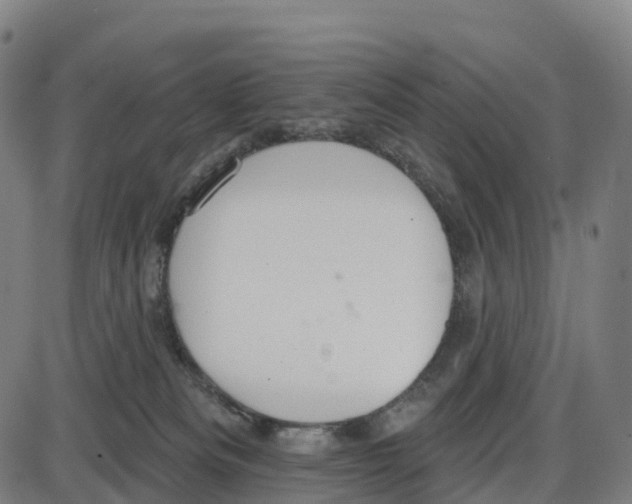 X0000083990133200703161632