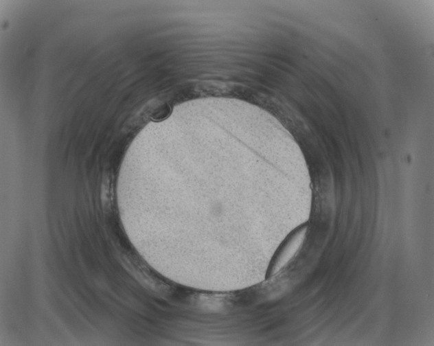 X0000083990134200703161632