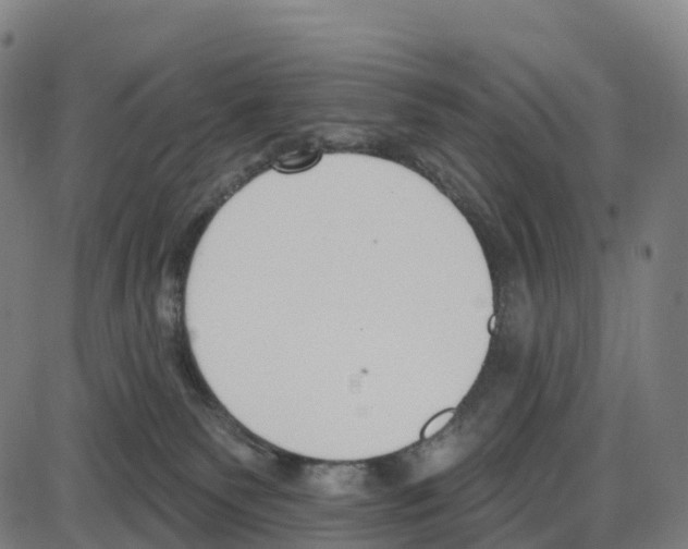 X0000083990135200703161632