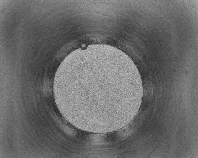 X0000083990136200703161632