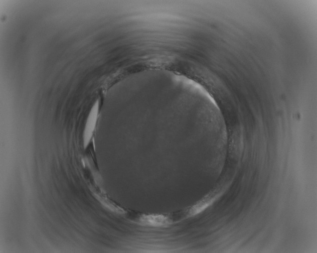 X0000083990137200703161632