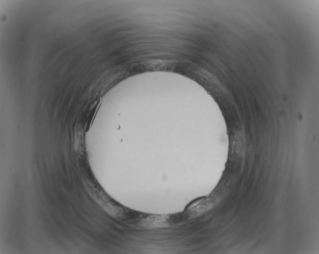 X0000083990138200703161632