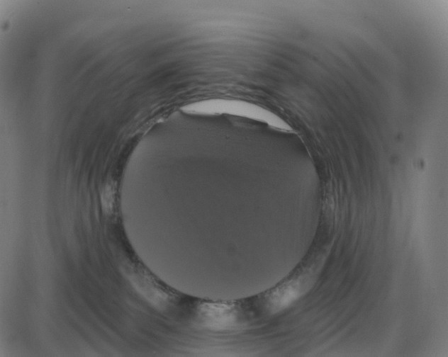 X0000083990139200703161632