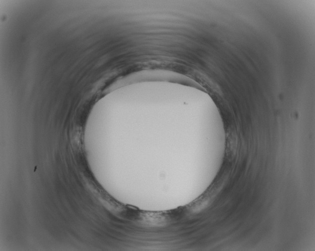 X0000083990141200703161632