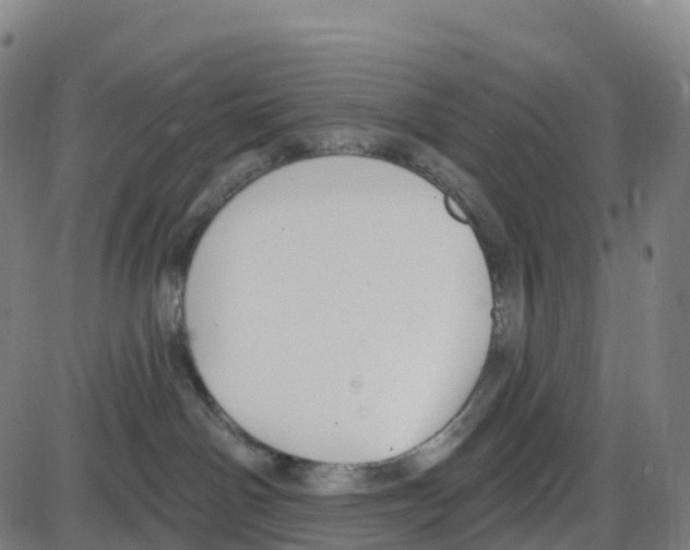 X0000083990142200703161632