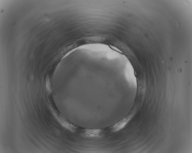 X0000083990143200703161632