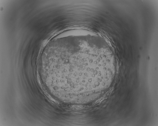 X0000083990145200703161631