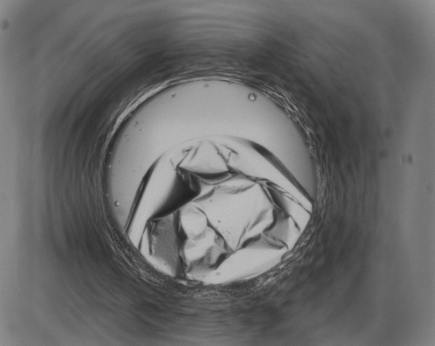 X0000083990146200703161631