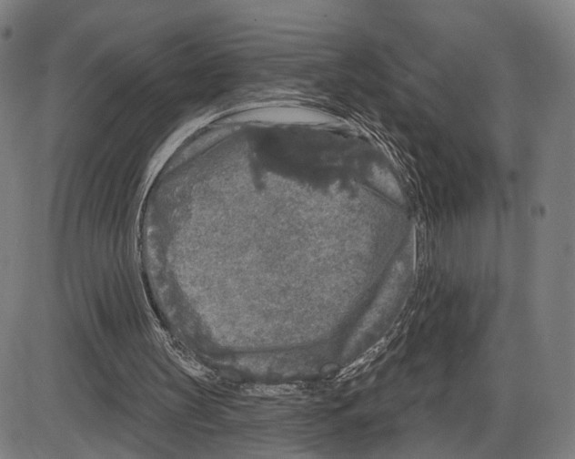 X0000083990147200703161631