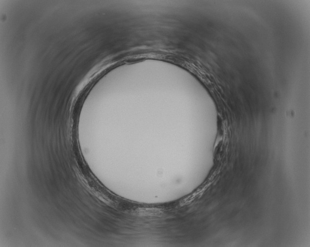 X0000083990150200703161631