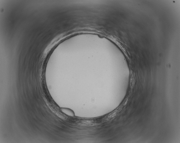 X0000083990151200703161631