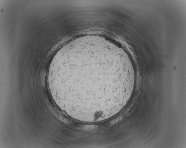 X0000083990153200703161631