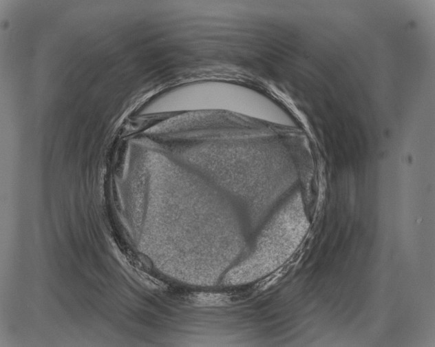 X0000083990154200703161632