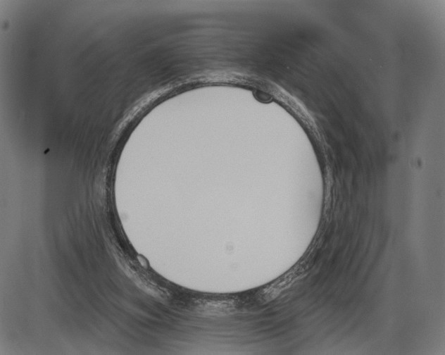 X0000083990155200703161632