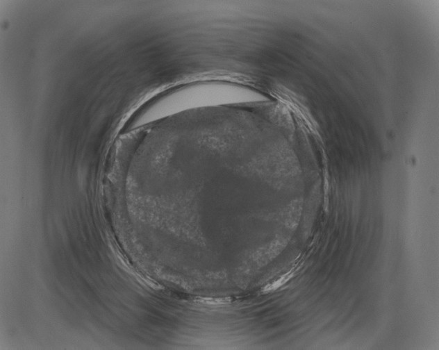 X0000083990156200703161632