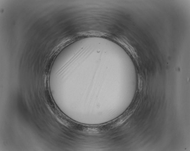 X0000083990157200703161632