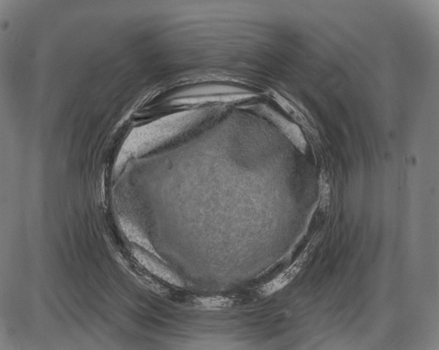 X0000083990158200703161632