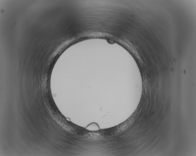 X0000083990159200703161632