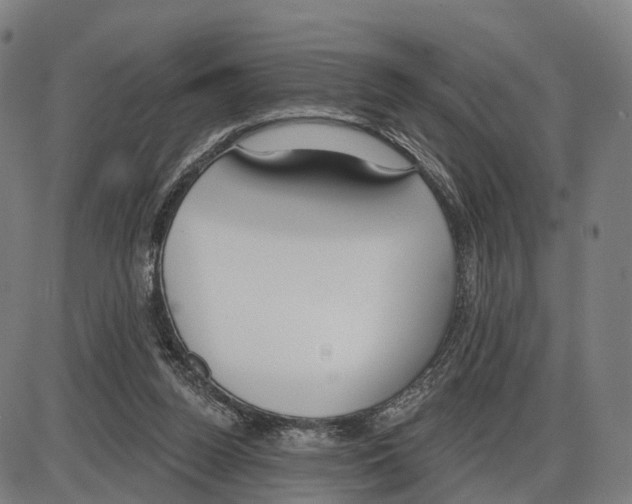 X0000083990160200703161632