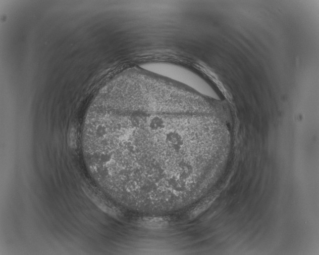 X0000083990161200703161632