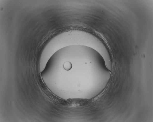 X0000083990162200703161632