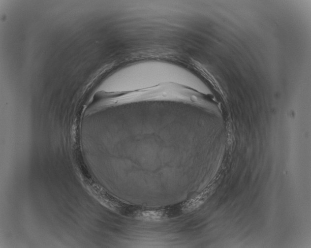 X0000083990163200703161632