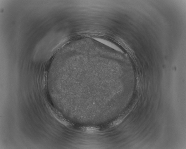 X0000083990165200703161632