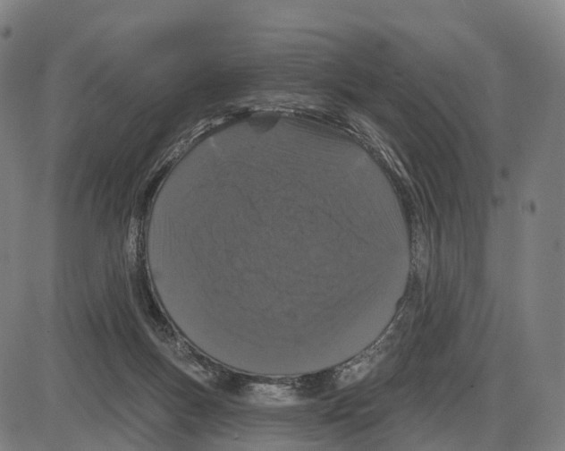 X0000083990167200703161632