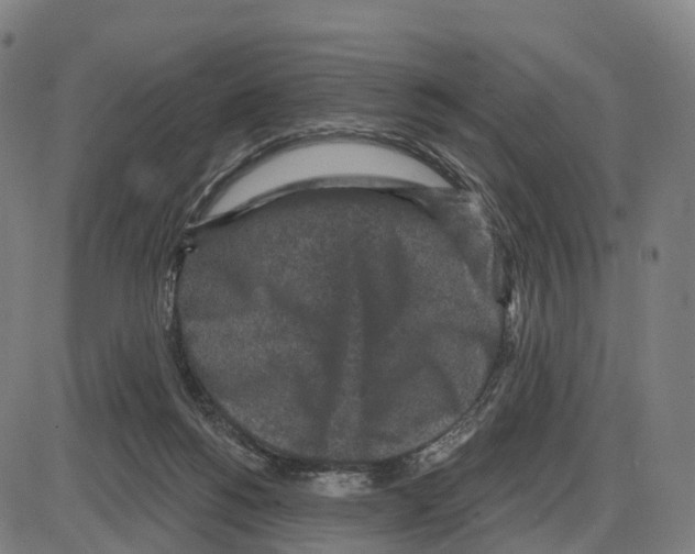 X0000083990168200703161632