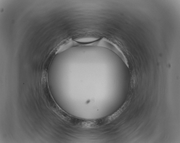 X0000083990172200703161632