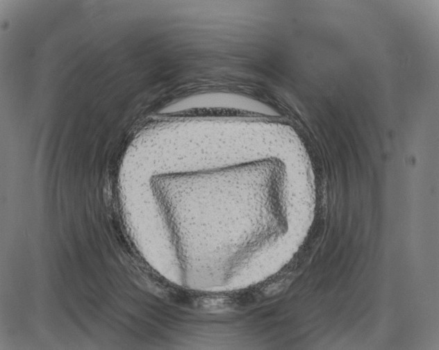 X0000083990173200703161632