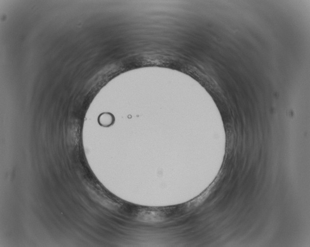 X0000083990174200703161632