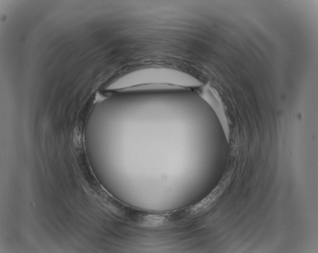 X0000083990176200703161632