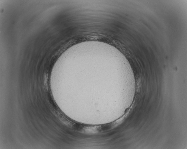 X0000083990178200703161632