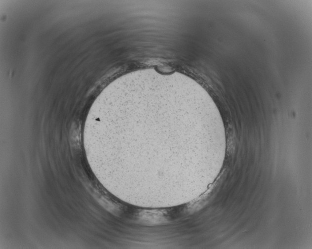 X0000083990179200703161632