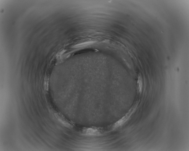 X0000083990180200703161632