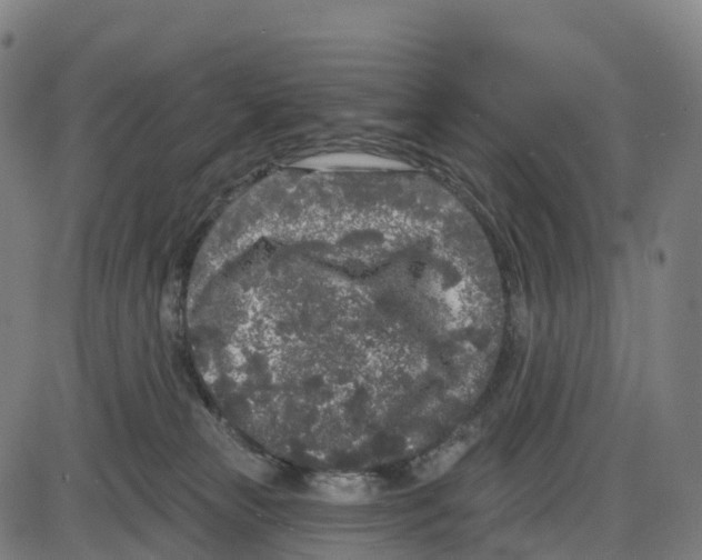 X0000083990181200703161632