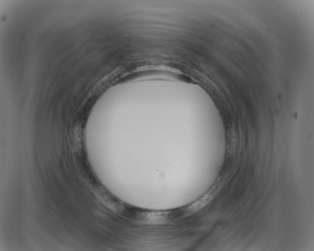 X0000083990184200703161632