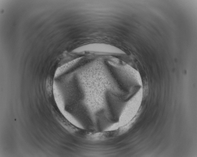 X0000083990186200703161632