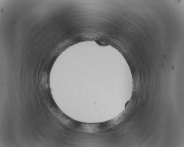 X0000083990187200703161632