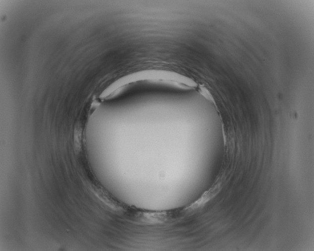 X0000083990188200703161632