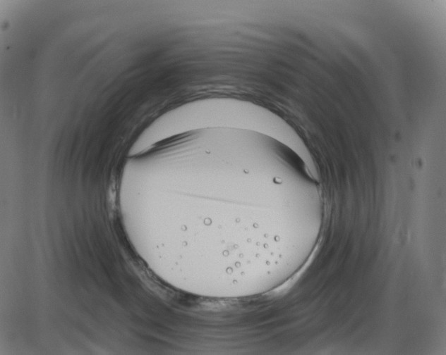 X0000083990190200703161632